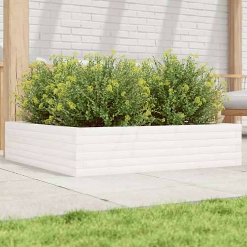 Vrtna sadilica bijela 100x100x23 cm od masivne borovine - Bijela 100 x 100 x 23 cm 1 Cijena