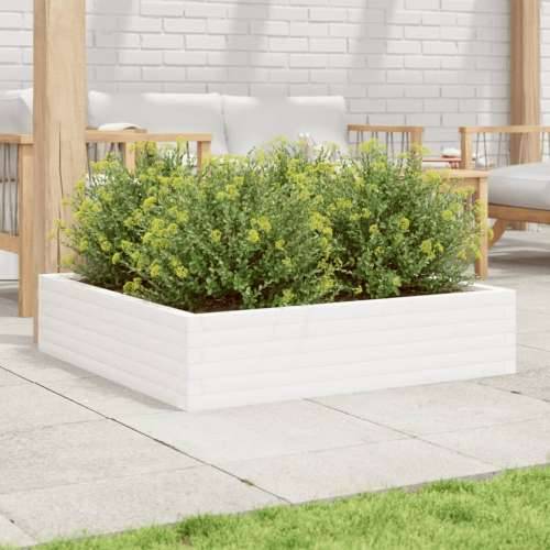 Vrtna sadilica bijela 100x100x23 cm od masivne borovine - Bijela 100 x 100 x 23 cm 1 Cijena