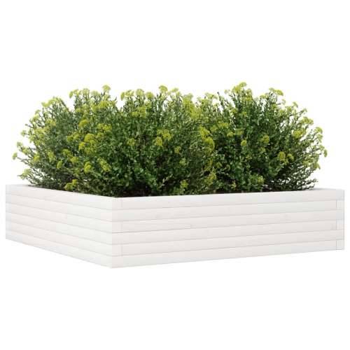 Vrtna sadilica bijela 100x100x23 cm od masivne borovine - Bijela 100 x 100 x 23 cm 1 Cijena