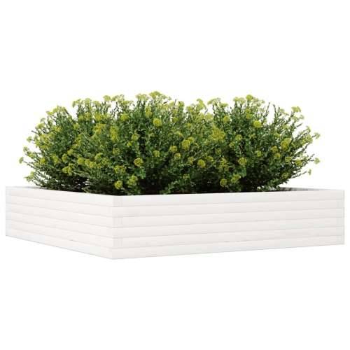 Vrtna sadilica bijela 110x110x23 cm od masivne borovine - Bijela 110 x 110 x 23 cm 1 Cijena