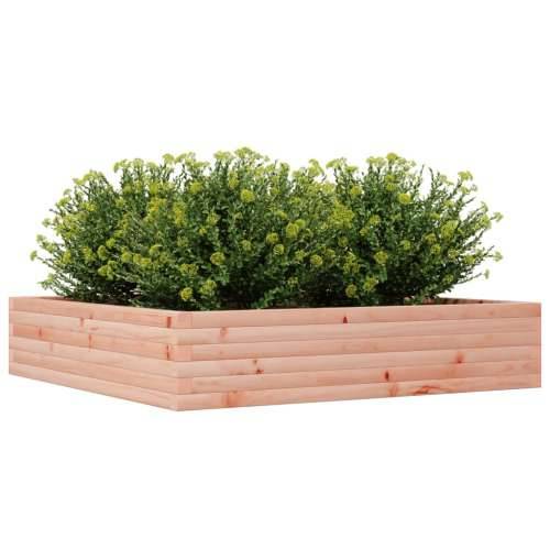 Vrtna sadilica 110x110x23 cm od masivnog drva duglazije - Prirodni douglas 110 x 110 x 23 cm 1 Cijena