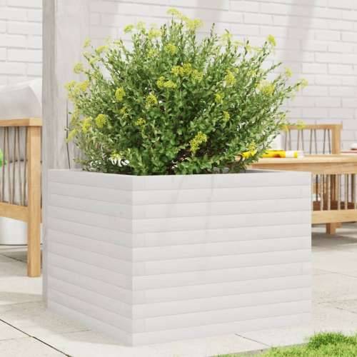 Vrtna sadilica bijela 60x60x45,5 cm od masivne borovine - Bijela 60 x 60 x 45.5 cm 1 Cijena