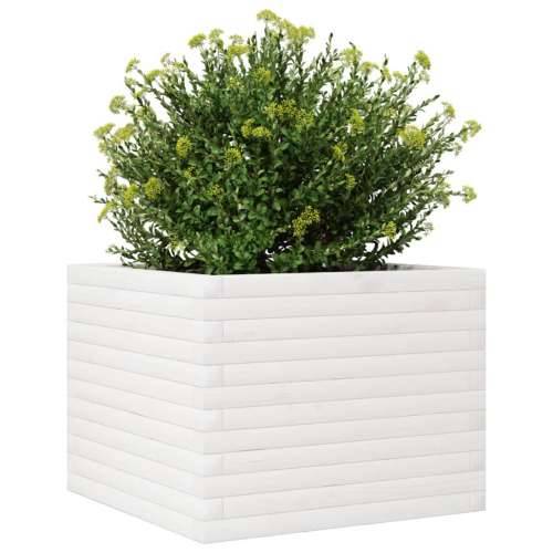 Vrtna sadilica bijela 60x60x45,5 cm od masivne borovine - Bijela 60 x 60 x 45.5 cm 1 Cijena