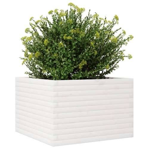 Vrtna sadilica bijela 70x70x45,5 cm od masivne borovine - Bijela 70 x 70 x 45.5 cm 1 Cijena
