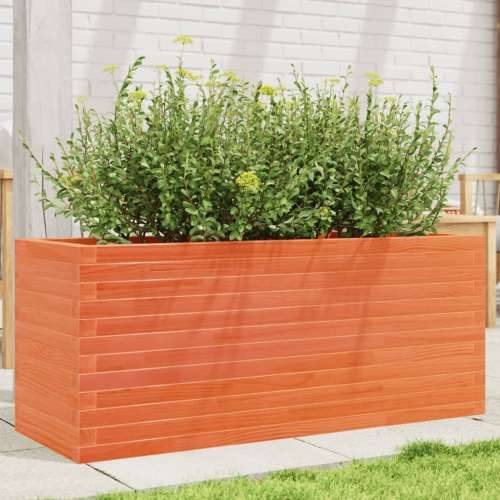 Vrtna sadilica voštano smeđa 110x40x45,5 cm masivna borovina - Voštano smeđa 110 x 40 x 45.5 cm 1 Cijena