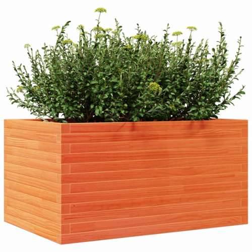 Vrtna sadilica voštano smeđe boje 90x60x45,5 cm od borovine - Voštano smeđa 90 x 60 x 45.5 cm 1 Cijena