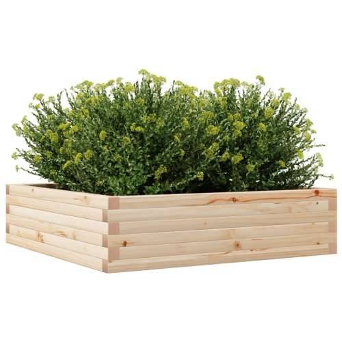Vrtna sadilica 90x90x23 cm od masivne borovine - Prirodna boja bora 90 x 90 x 23 cm 1 Cijena