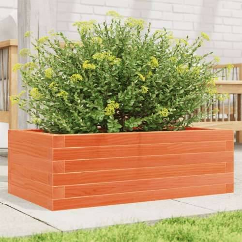 Vrtna sadilica voštano smeđa 70 x 40 x 23 cm masivna borovina - Voštano smeđa 70 x 40 x 23 cm 1 Cijena
