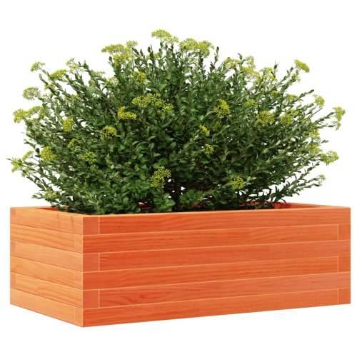 Vrtna sadilica voštano smeđa 70 x 40 x 23 cm masivna borovina - Voštano smeđa 70 x 40 x 23 cm 1 Cijena