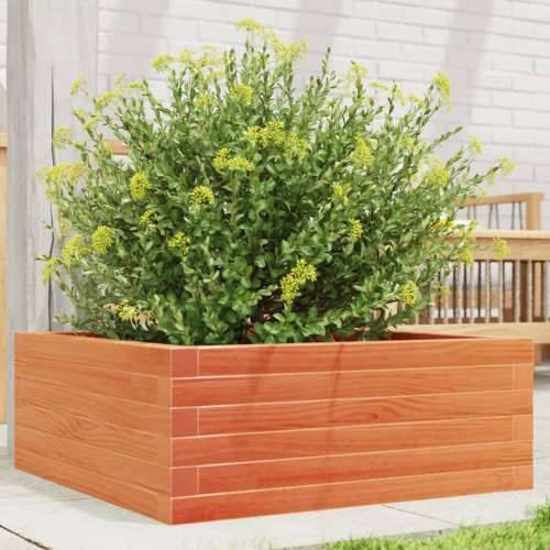 Vrtna sadilica voštano smeđe boje 60x60x23 cm od borovine - Voštano smeđa 60 x 60 x 23 cm 1 Cijena
