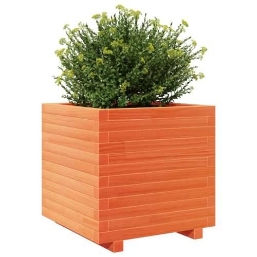 Vrtna sadilica voštano smeđa 50 x 50 x 49,5 cm od borovine - Voštano smeđa 50 x 50 x 49.5 cm 1 Cijena