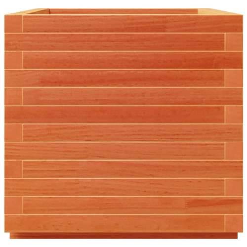 Vrtna sadilica voštano smeđa 50 x 50 x 49,5 cm od borovine - Voštano smeđa 50 x 50 x 49.5 cm 1 Cijena