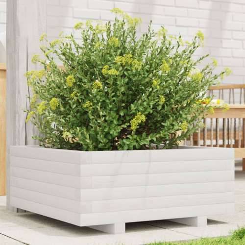 Vrtna sadilica bijela 60x60x26,5 cm od masivne borovine Cijena