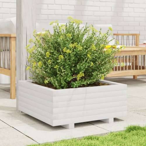 Vrtna sadilica bijela 60x60x26,5 cm od masivne borovine Cijena
