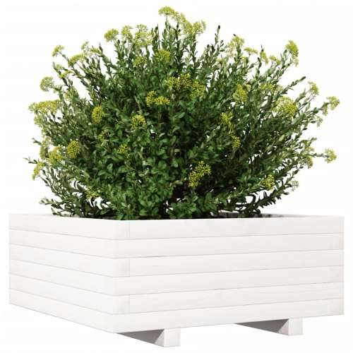 Vrtna sadilica bijela 60x60x26,5 cm od masivne borovine Cijena
