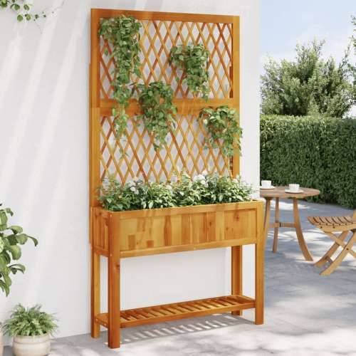 Sadilica s rešetkom i policom 100 x 32 x 185 cm od drva bagrema - 100 x 32 x 185 cm 1 Cijena