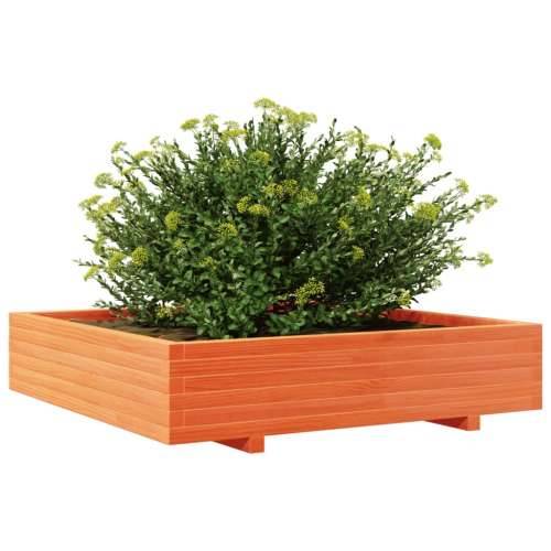 Vrtna sadilica voštano smeđa 110x110x26,5 cm masivna borovina - Voštano smeđa 110 x 110 x 26.5 cm 1 Cijena