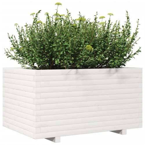 Vrtna sadilica bijela 90x60x49,5 cm od masivne borovine Cijena