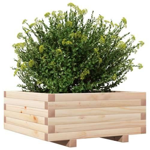 Vrtna sadilica 60x60x26,5 cm od masivne borovine Cijena