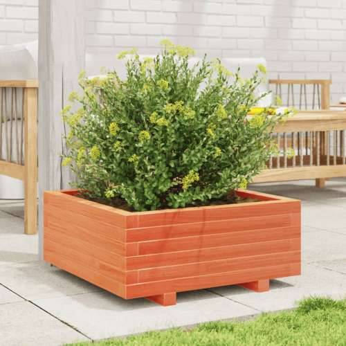Vrtna sadilica voštano smeđe boje 60x60x26,5 cm od borovine Cijena