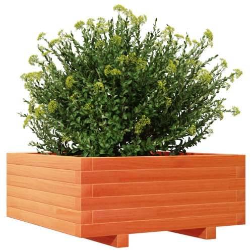 Vrtna sadilica voštano smeđe boje 60x60x26,5 cm od borovine Cijena
