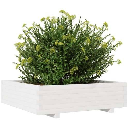 Vrtna sadilica bijela 90x90x26,5 cm od masivne borovine Cijena