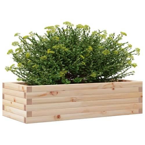 Vrtna sadilica 90 x 40 x 23 cm od masivne borovine - Prirodna boja bora 90 x 40 x 23 cm 1 Cijena