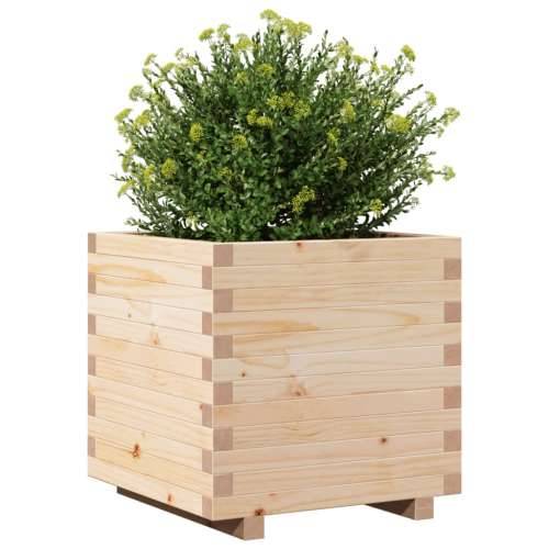 Vrtna sadilica 50 x 50 x 49,5 cm od masivne borovine Cijena