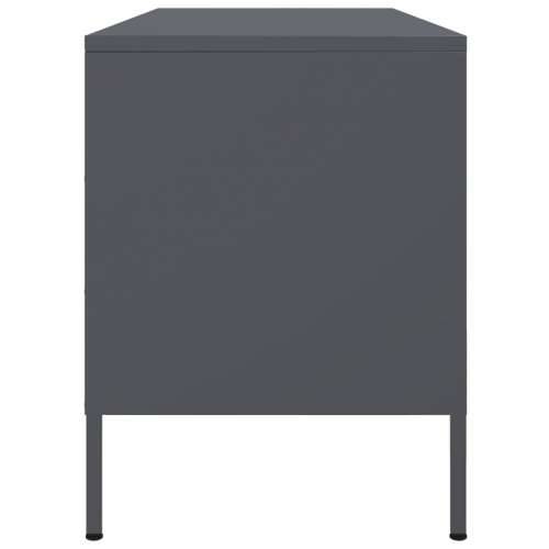 TV ormarić antracit 100,5 x 39 x 50,5 cm čelični - Antracit 1 Cijena