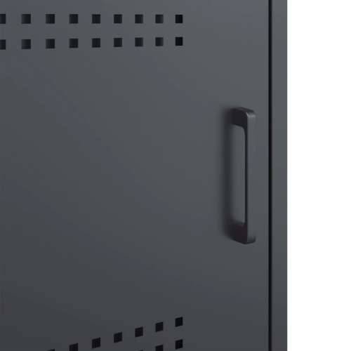 TV ormarić antracit 100,5 x 39 x 50,5 cm čelični - Antracit 1 Cijena