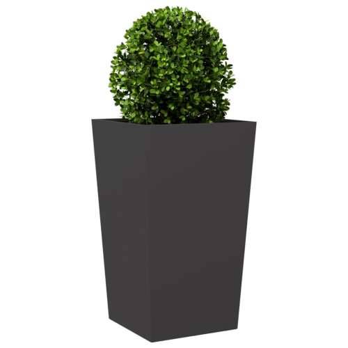 Vrtne sadilice 2 kom crne 45x45x75 cm čelične - Čelik/crna 45 x 45 x 75 cm 2 Cijena