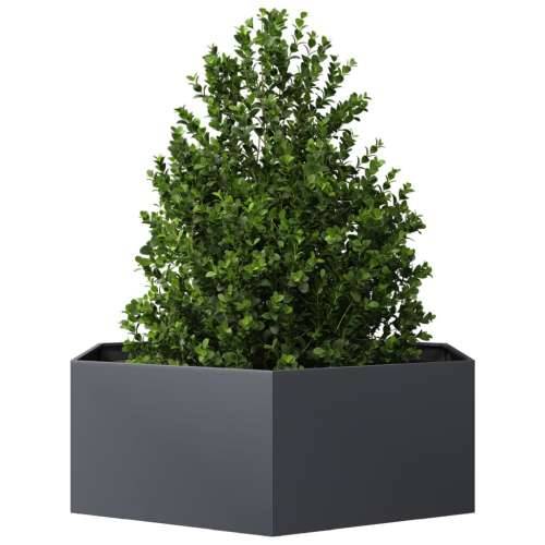 Vrtna sadilica antracit šesterokutna 138 x 120 x 45 cm čelična - Čelik/antracit 138 x 120 x 45 cm 1 Cijena