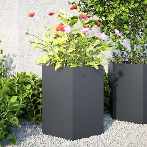 Vrtna sadilice 2 kom crna šesterokutna 46x40x45 cm čelična - Čelik/antracit 46 x 40 x 45 cm 2 Cijena