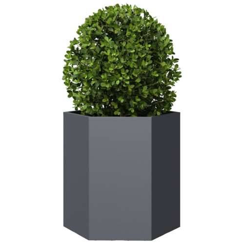 Vrtna sadilice 2 kom crna šesterokutna 46x40x45 cm čelična - Čelik/antracit 46 x 40 x 45 cm 2 Cijena