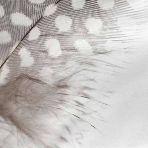 Jastučnica HappyFriday Light Pisana 45 x 125 cm Cijena