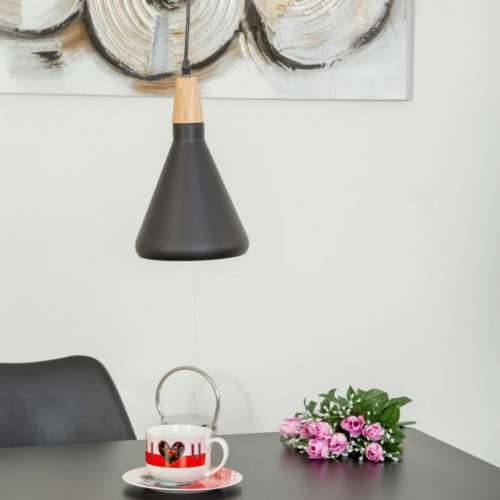 Stropna svjetiljka Alexandra House Living Crna Cijena