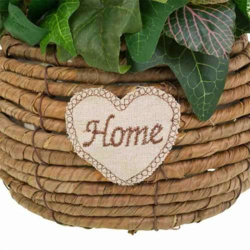 Ukrasno cvijeće Alexandra House Living Pisana 25 x 36 x 31 cm Cijena