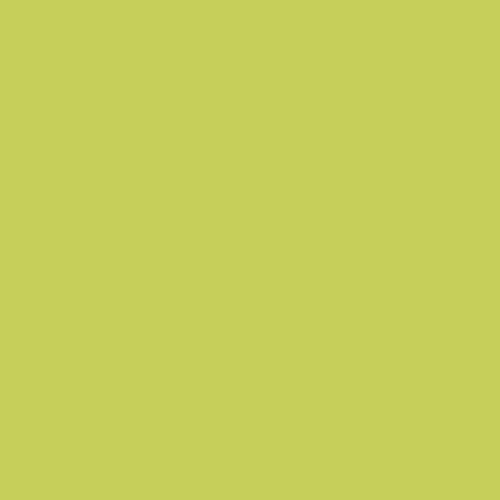 Jastučnica Happy Home MIX COLORS Zelenožut Cijena