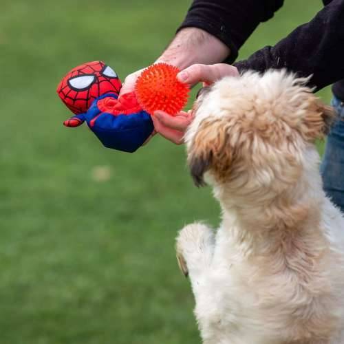 Pseća igračka Spider-Man Crvena Cijena