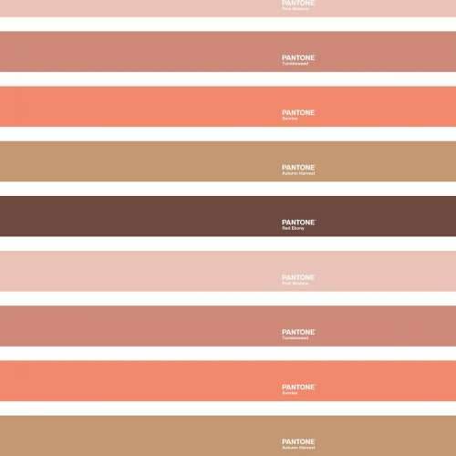 Nordijska navlaka Wide C Pantone Cijena