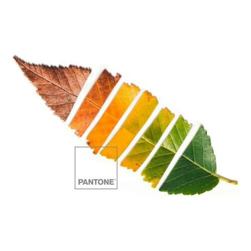 Nordijska navlaka Leaf Pantone Cijena