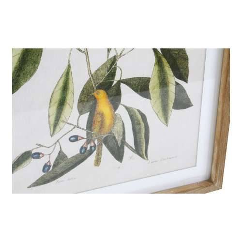 Slika DKD Home Decor Bird 55 x 2,5 x 70 cm Tropsko ptice (4 Dijelovi) Cijena