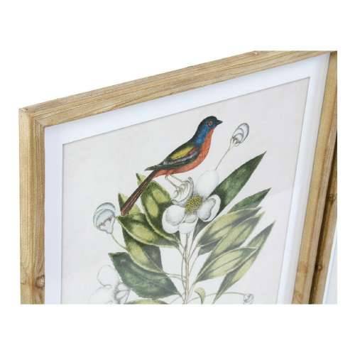 Slika DKD Home Decor Bird 55 x 2,5 x 70 cm Tropsko ptice (4 Dijelovi) Cijena