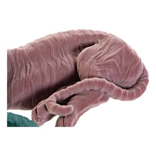 Ukrasna figura DKD Home Decor 36 x 17,5 x 13,3 cm Tigar Zelena Smola Svetlo roza Flokirano Cijena