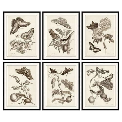 Slika DKD Home Decor 50 x 2,5 x 65 cm Ziedi moderan (6 Dijelovi) Cijena