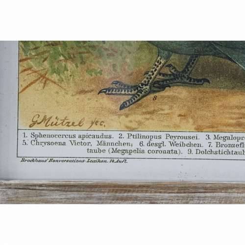 Slika DKD Home Decor 45 x 2 x 65 cm ptice Cottage (4 Dijelovi) Cijena