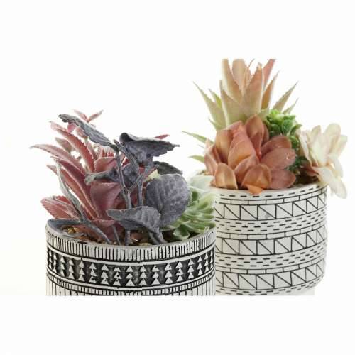Ukrasna Biljka DKD Home Decor Kaktus Smola Polietilen 11 x 11 x 21 cm (2 kom.) Cijena