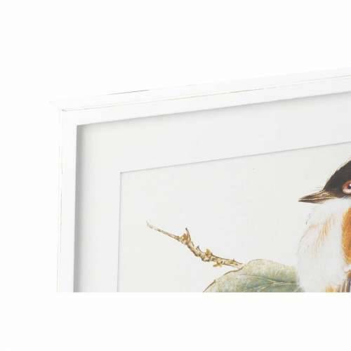 Slika DKD Home Decor Ptica Shabby Chic 60 x 2,5 x 60 cm (4 kom.) Cijena