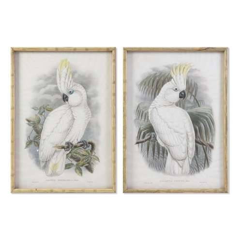 Slika DKD Home Decor 50 x 2,8 x 70 cm Kolonijalni Papagaj (2 kom.) Cijena