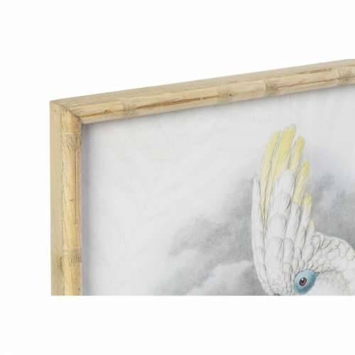 Slika DKD Home Decor 50 x 2,8 x 70 cm Kolonijalni Papagaj (2 kom.) Cijena